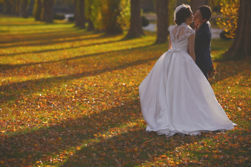 並木の影と落ち葉の絨毯がドラマチック…