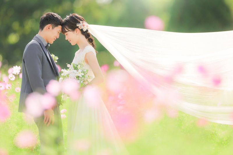 ベールショット2