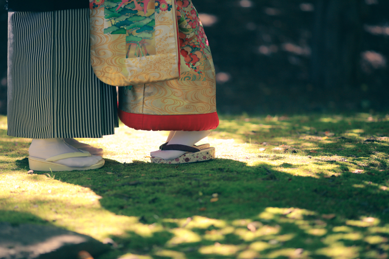 木漏れ日の中で♪