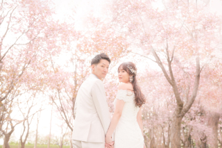 北海道らしさと、桜と、