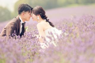 【富良野・美瑛location】ラベンダー×白樺×大地