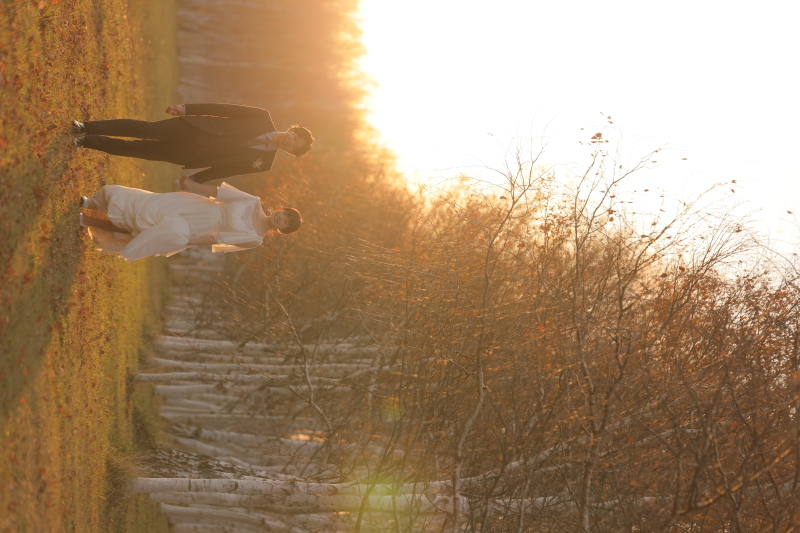 夕方の散歩シーン