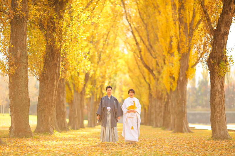 ポプラ並木の前で◎