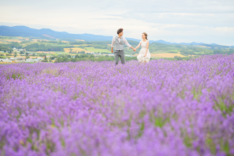 富良野・美瑛