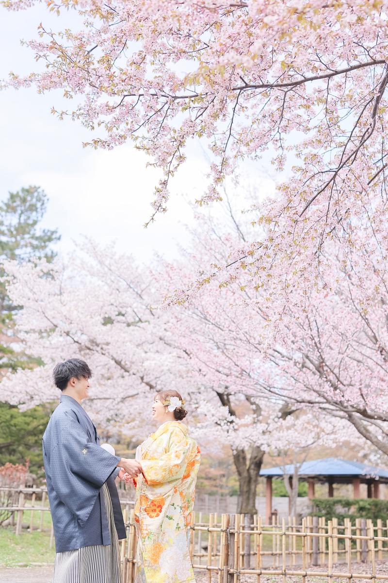 中島公園の桜について