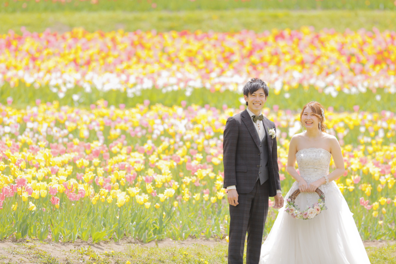 チューリップロケ