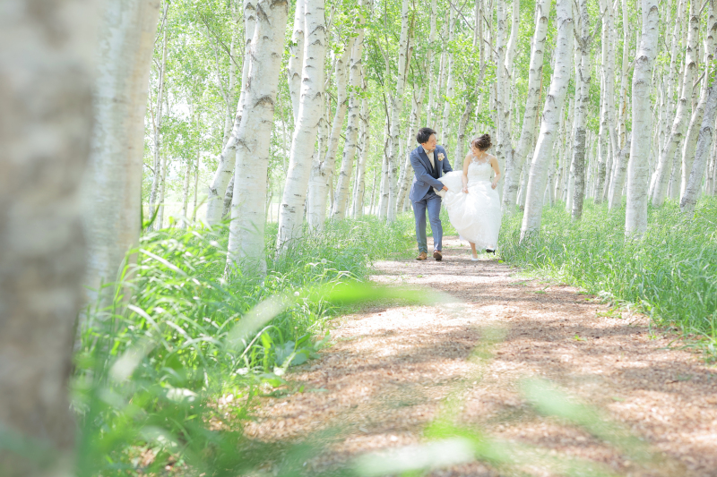 たくさんのシラカバに囲まれて