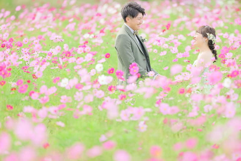 コスモス畑の中で