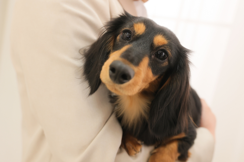 ソロカットも忘れずに!