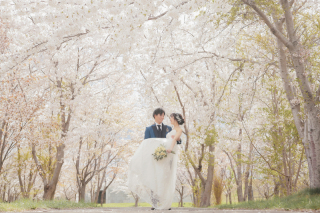 中島公園＆桜の杜＆スタジオ