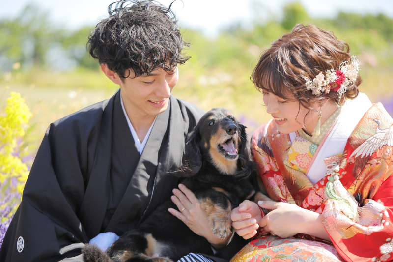 愛犬と一緒に！