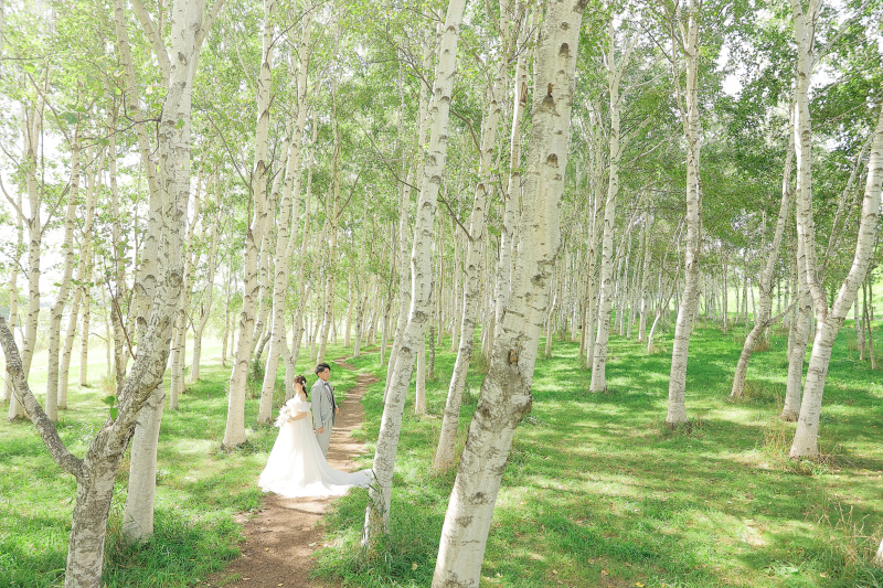 広々とした木々の中で