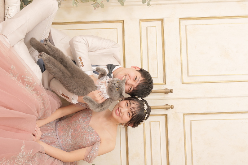 ねこちゃん登場!