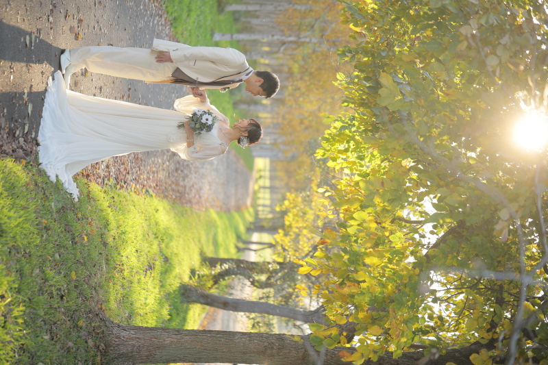 木漏れ日の並木道