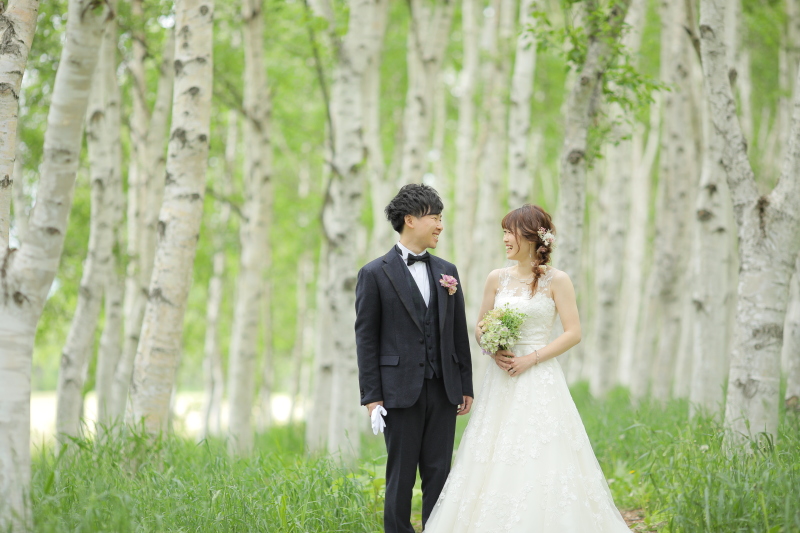 シラカバの中で