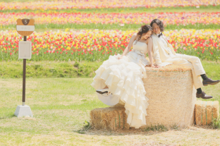 滝野すずらん公園＆伏見稲荷神社