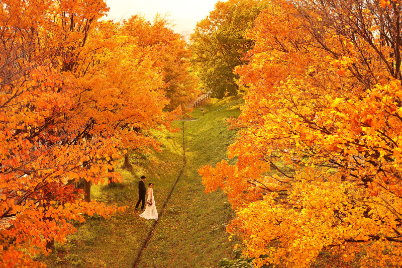 【衣装料金込み】洋装1着お得ロケーションプラン<全データ付き>