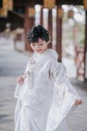 PSM-007 梅花飛鶴紋