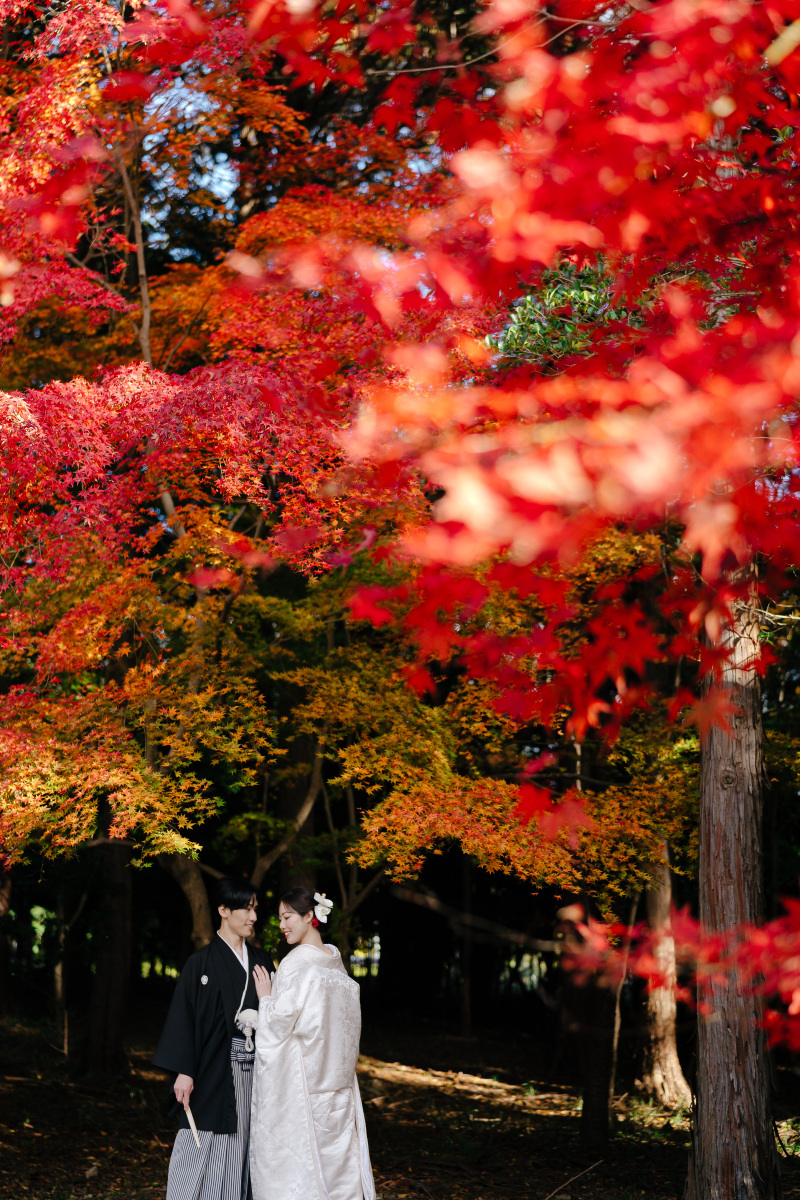 コントラストがきれい