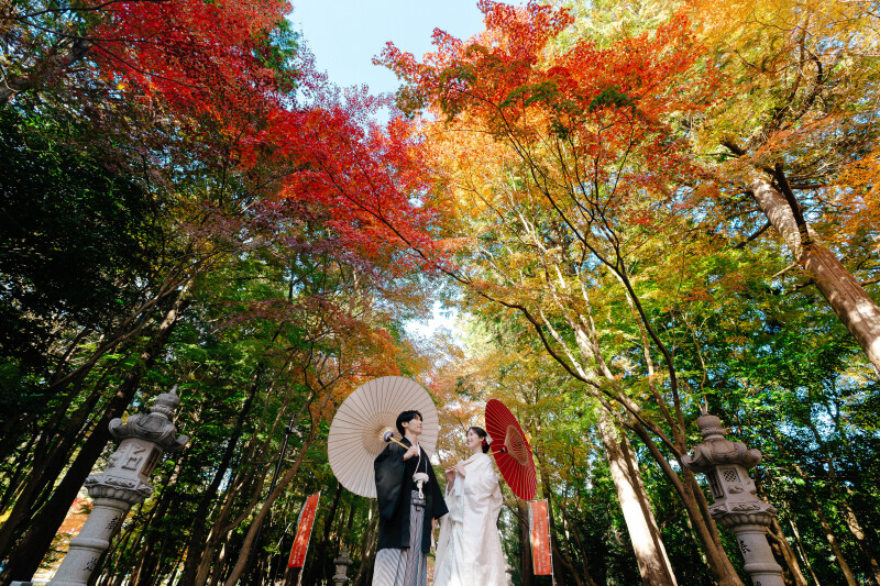 グラデーション豊かな紅葉