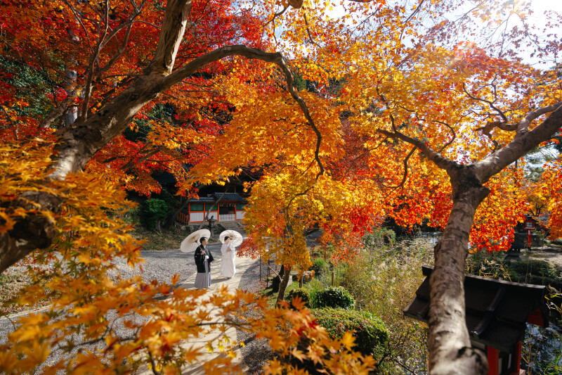 2か所目は紅葉の名所「大原野神社」へ!