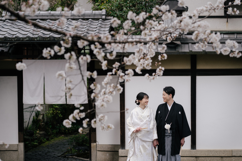 京都の町並みと桜