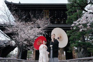 春の金戒光明寺