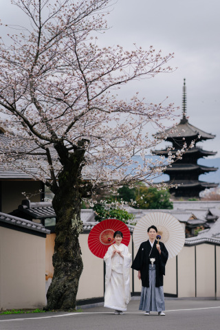 京都の桜で和装前撮り