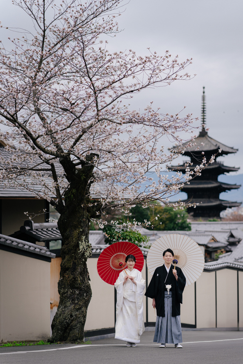 京都の桜で和装前撮り
