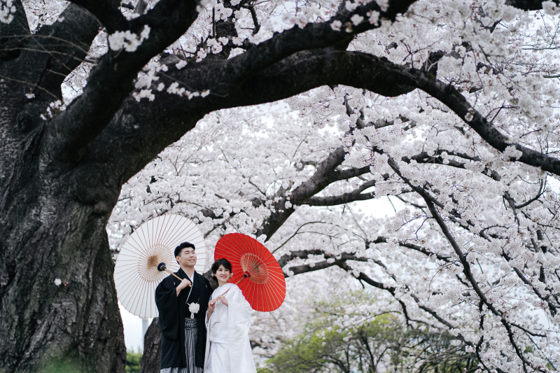 満開の桜の木の下で