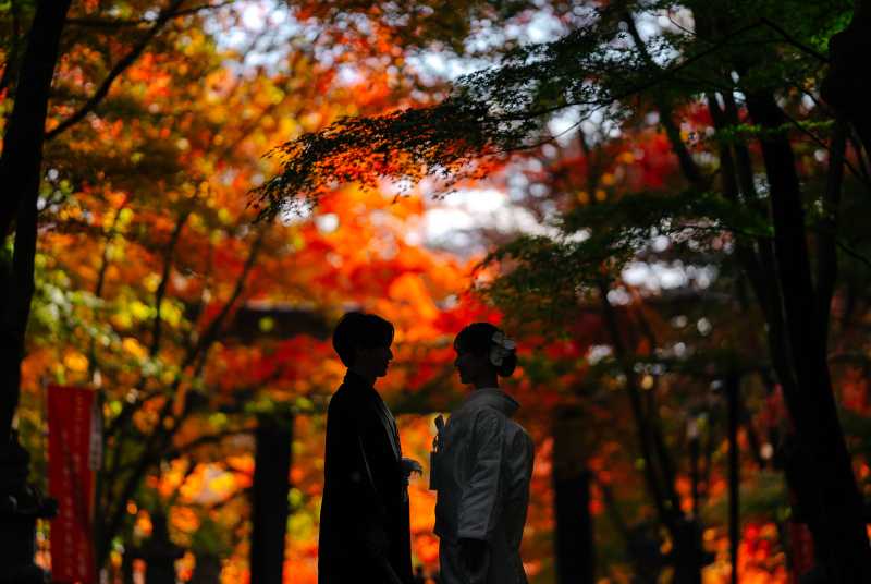 シルエット写真も