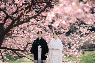 河津桜前撮り