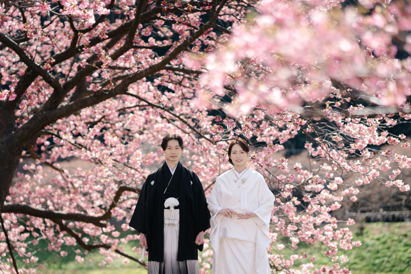 河津桜前撮り