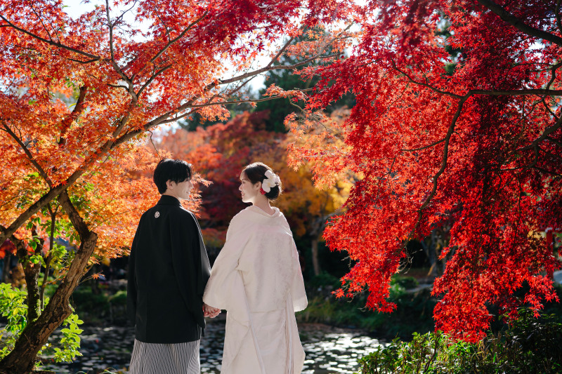 真っ赤な紅葉と