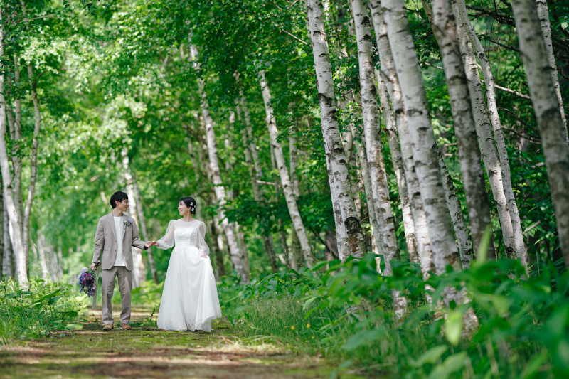 北海道ならでは白樺並木