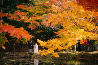 街並みと紅葉どっちも！