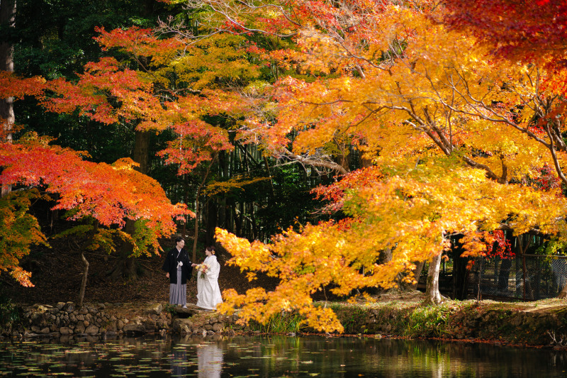 街並みと紅葉どっちも!