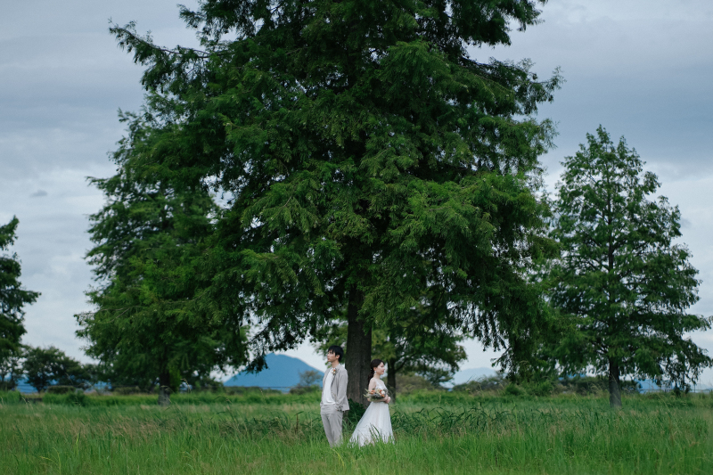 大きな木の下で