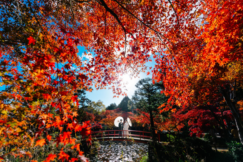 紅葉の迫力を入れて