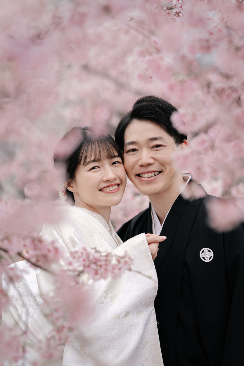 ピンク色の桜を発見