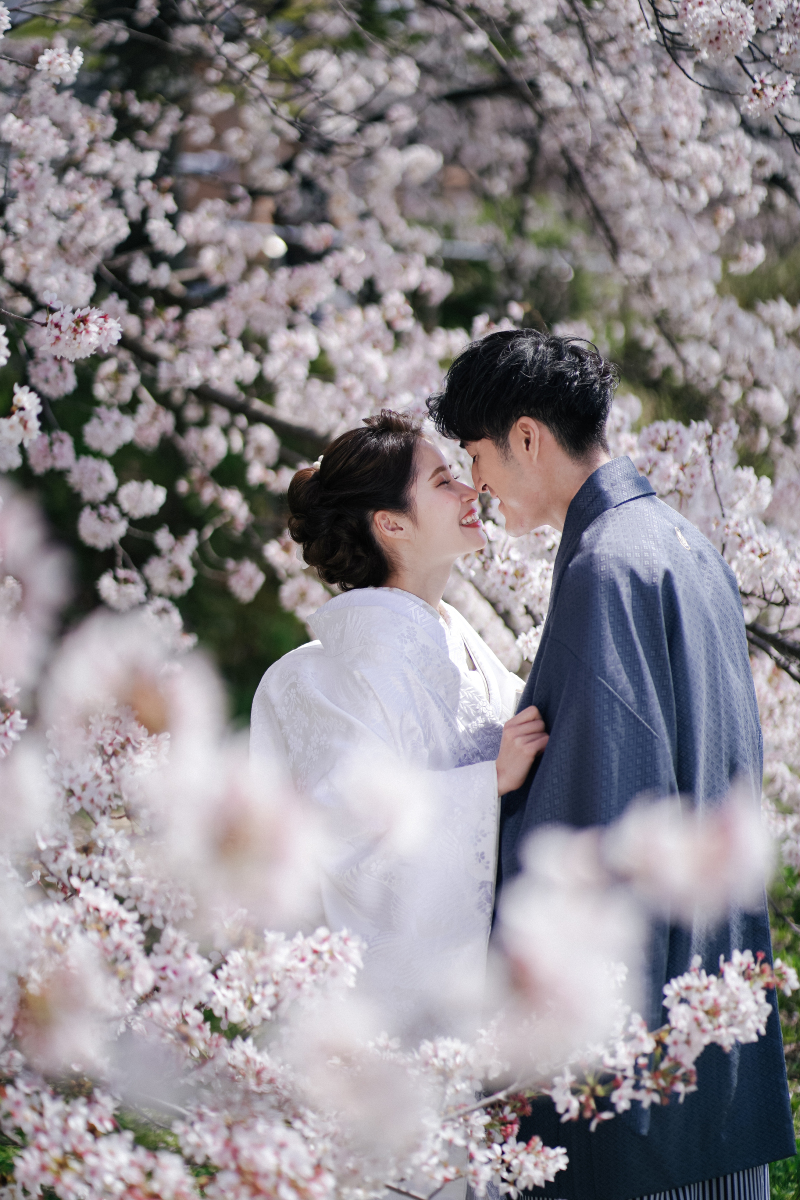 桜に包まれるおふたり