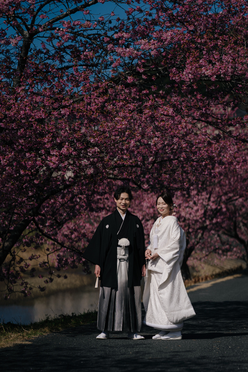 ピンク色が可愛い河津桜