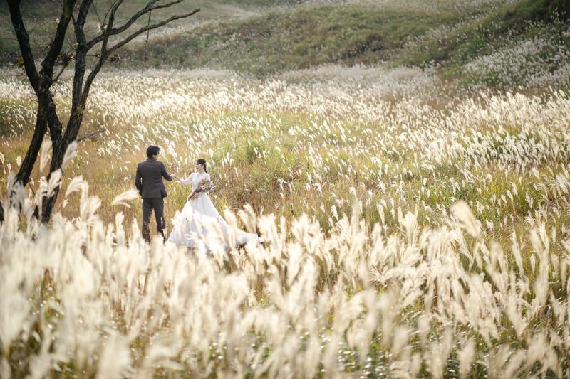 ススキが広がる大自然で