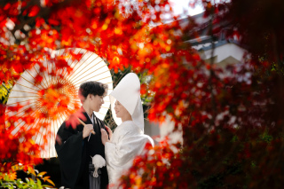 京都の紅葉満喫コース