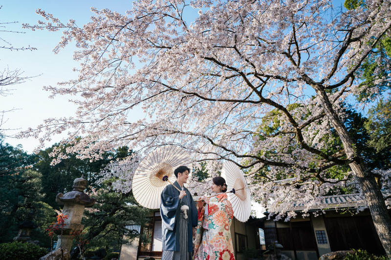 金戒光明寺も桜の有名なスポット