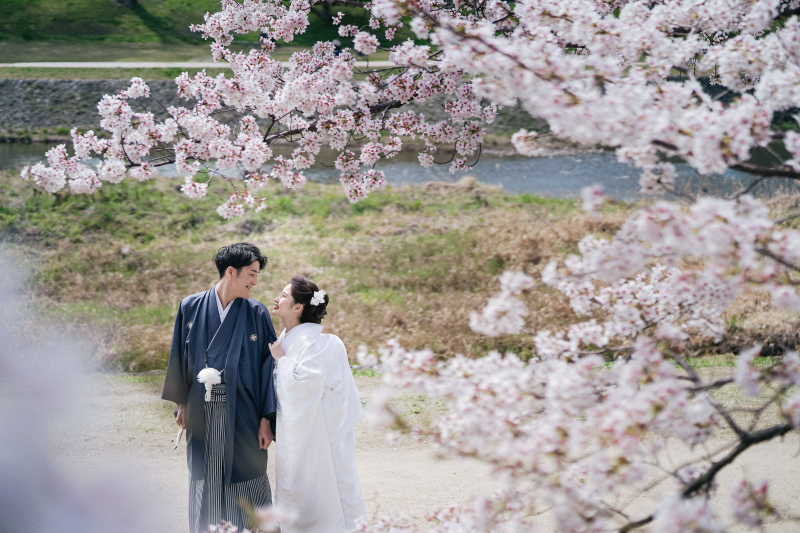 満開の桜と前撮り