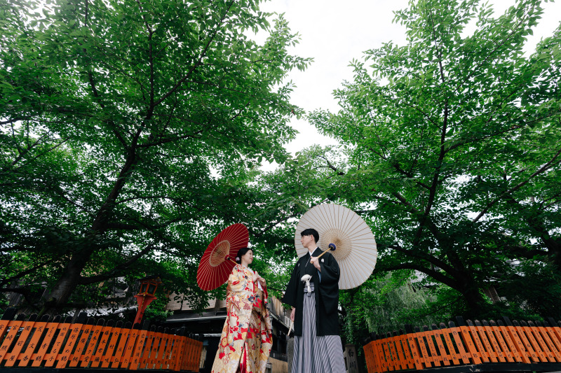 新緑の祇園もきれい