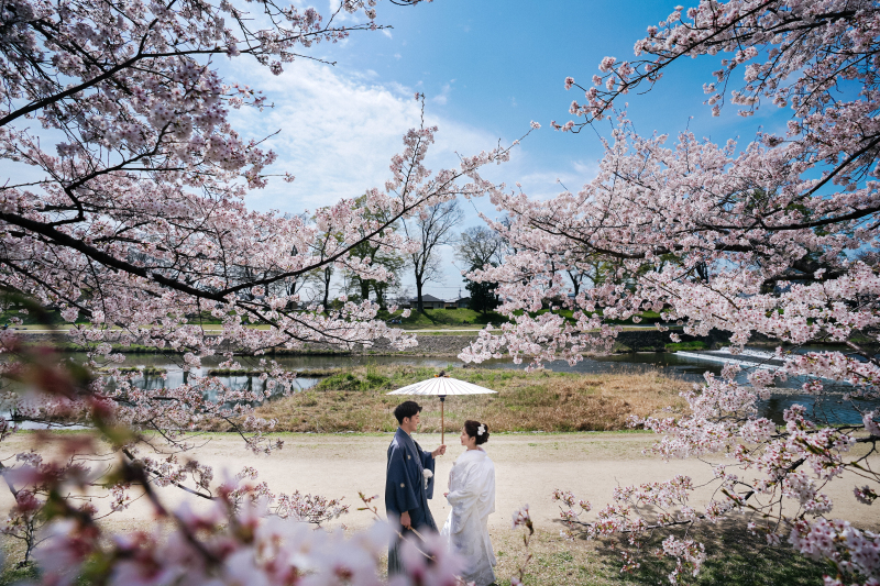 桜の木の下で相合傘を