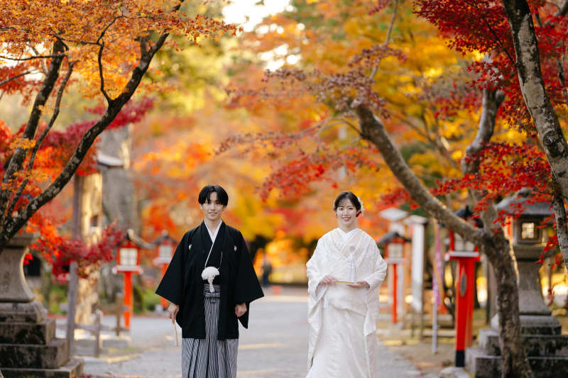 紅葉でいっぱいの参道で