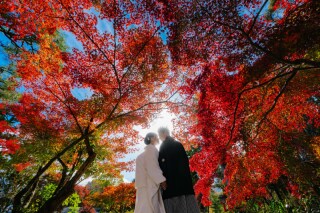 ハイシーズン料金